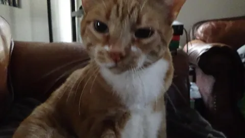 My buddy passed this morning.