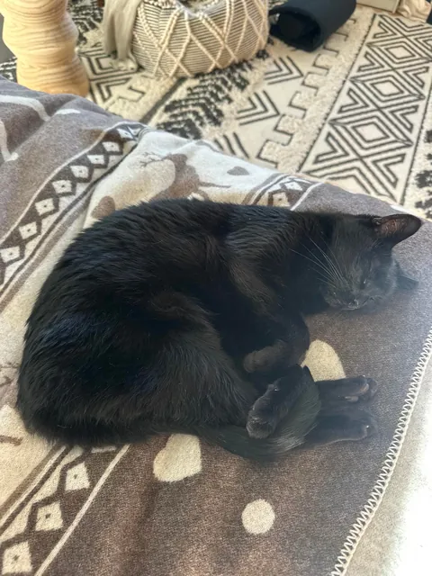 We’re saying goodbye to this icon tomorrow.