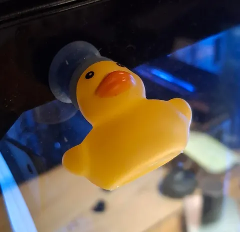 What should I do with these tiny suction cups?