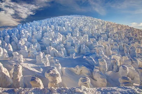Extreme weather conditions on Mount Zao completely encase the local pine trees in ice, creating the eerie illusion of a towering, frozen army known as the "Snow Monsters.