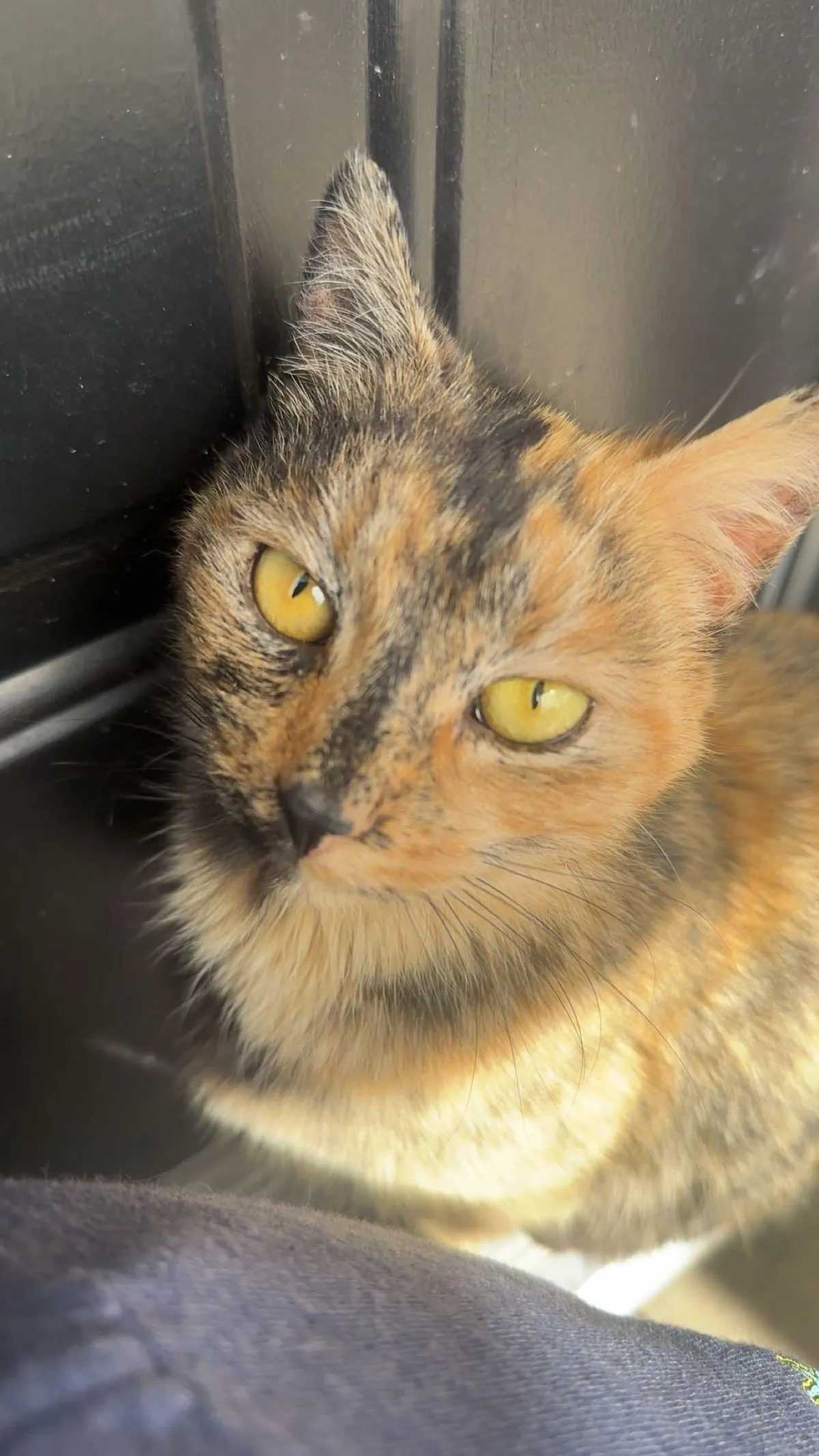 Should I take her in?