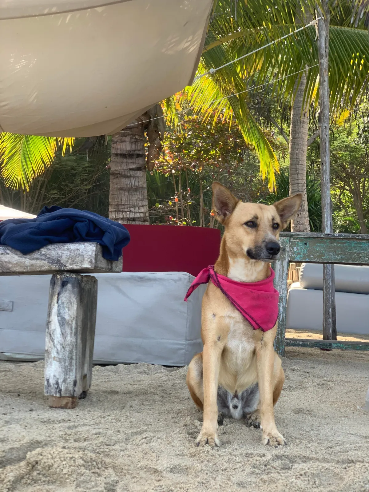 What’s your “i could have died moment” in traveling? My 3-day quick trip to puerto vallarta