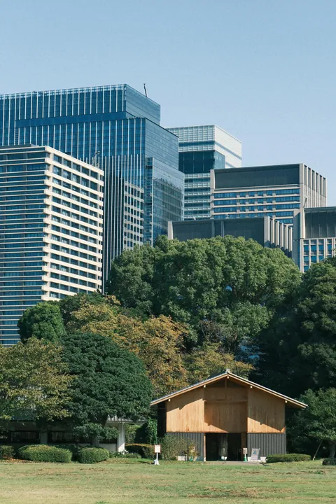 Our First 4 Days in Tokyo 🇯🇵