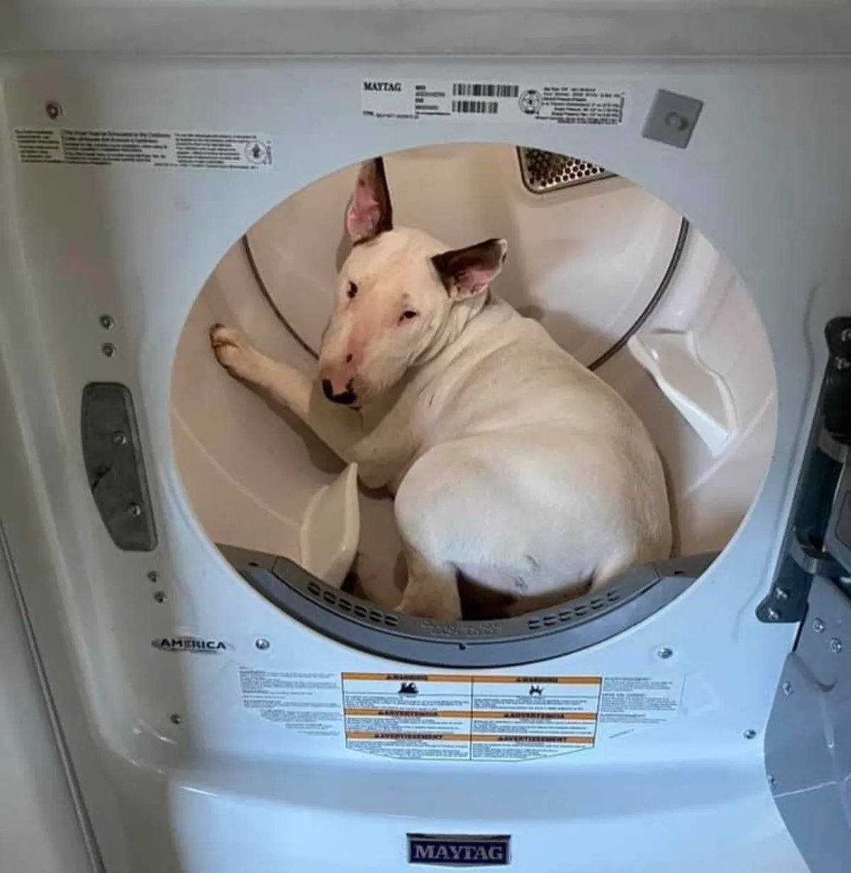 I know it’s cold outside, but this isn’t the answer, Betty