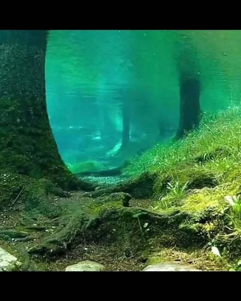 The Green Lake Park in Austria sinks underwater every spring. It gets flooded by up to 8 meters as snow melts by the surrounding mountains, turning trails, benches into a crystal-clear underwater wonderland.