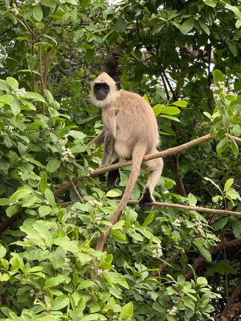 Sri Lanka is a dream you won’t want to wake up from
