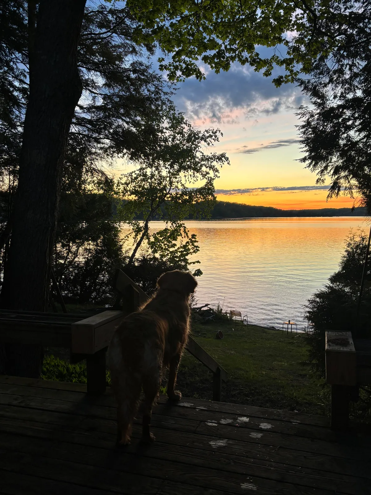 My favorite place on Earth