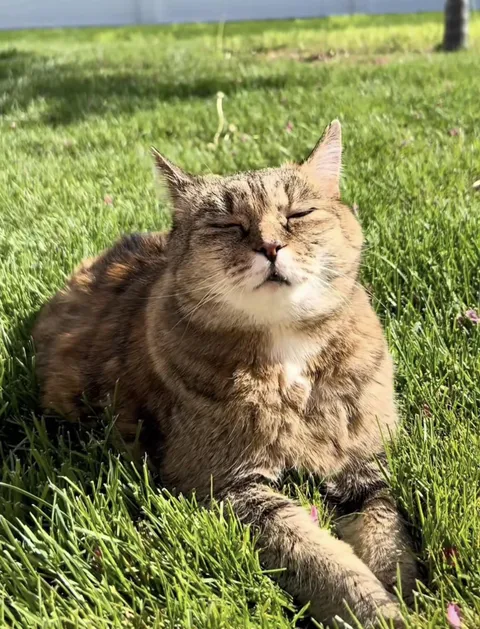 She’s been through a lot, but still finds the sun and closes her eyes like everything’s okay