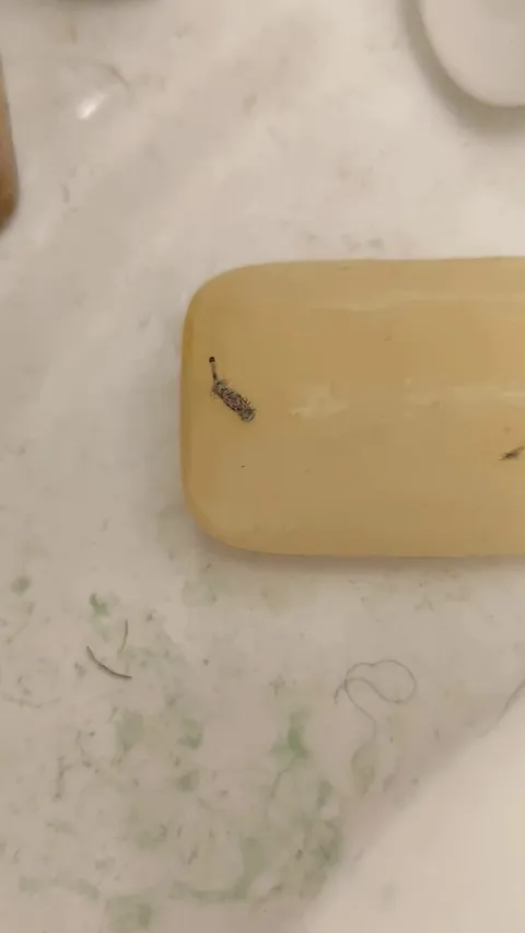 What is this on my soap?