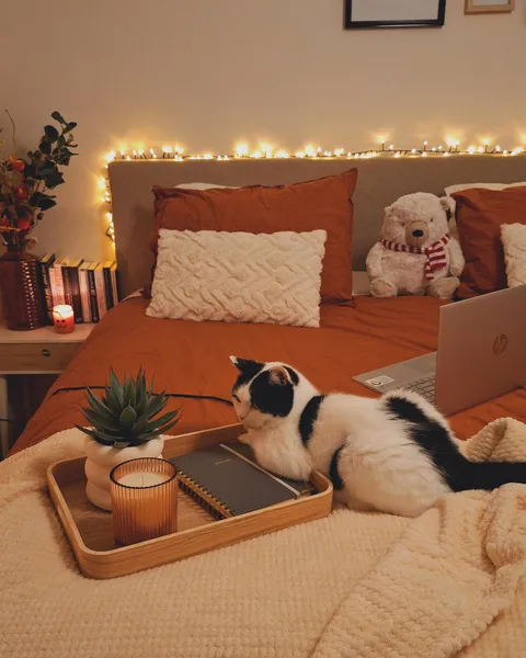 Made my bedroom more autumnal and really like the result 