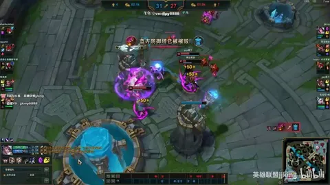 Chinese Fiora King 0.1 second 4 vitals