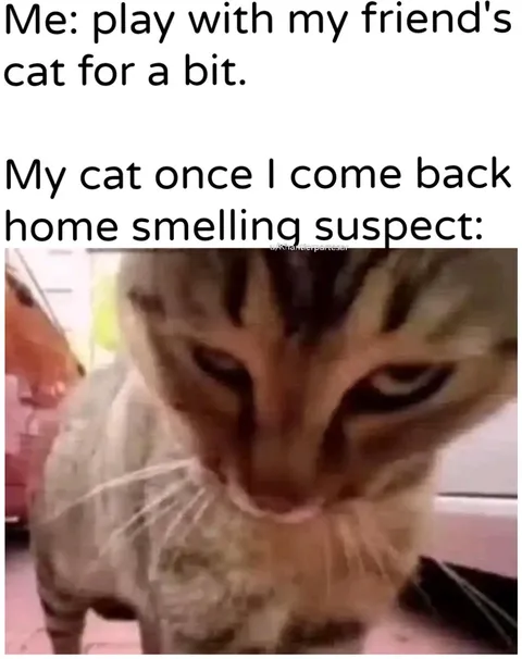 it's either cheating / or "who the fuck are you?"