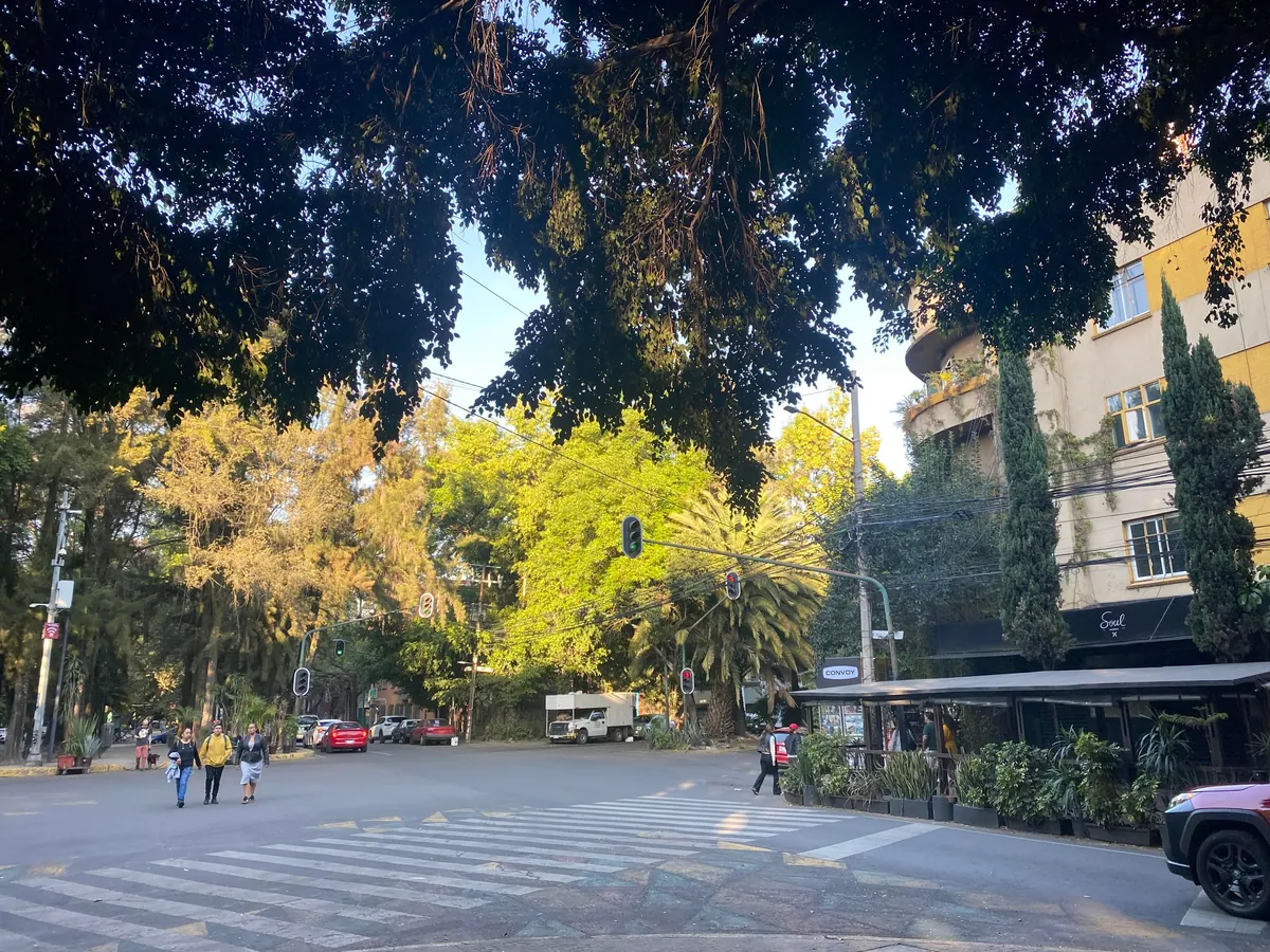 Mexico City had the Lushest, Greenest, Most Beautiful Neighborhoods I've Ever Seen