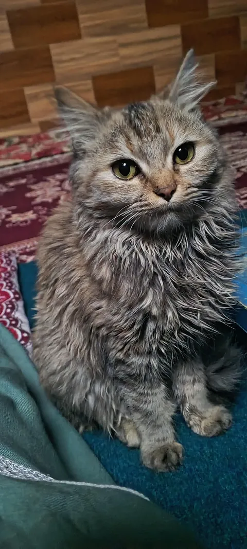 My heart melted when I saw this face.