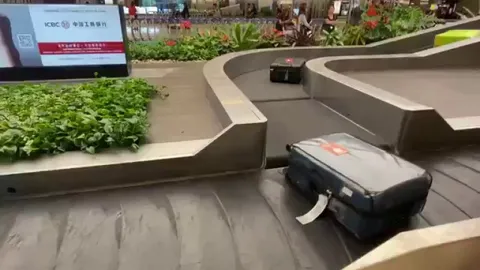 M'luggage... Luggages respectfully waiting their turn