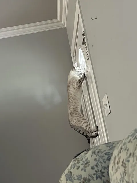 How do I stop this? She does this all day