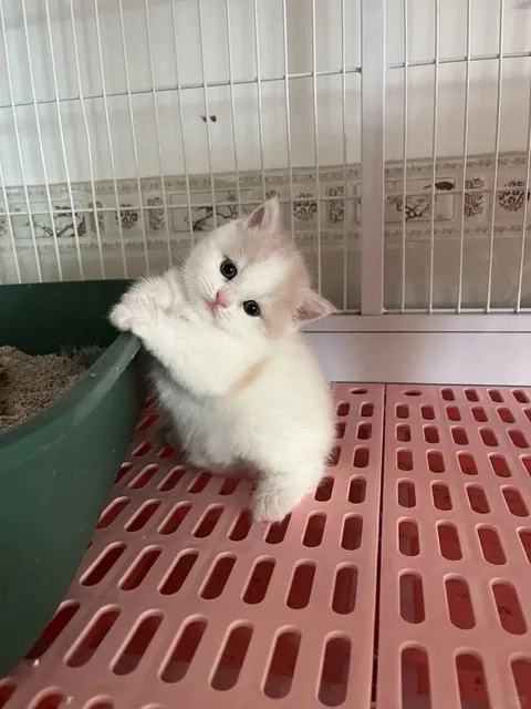 when life hits but you're still cute