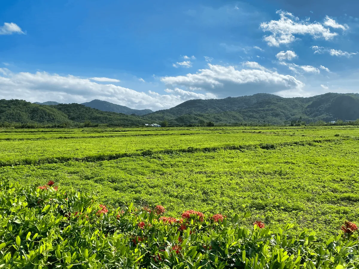 Cycling the Taiwan Loop / Route 1