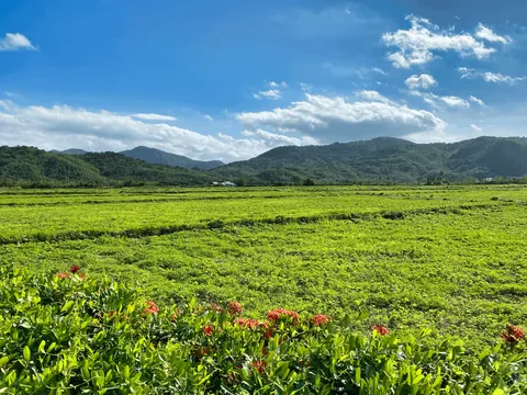 Cycling the Taiwan Loop / Route 1