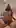 Have you ever fantasized about getting fucked by a trans woman?"