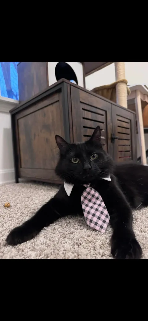 I’m abroad for ten days and I miss himmmmm