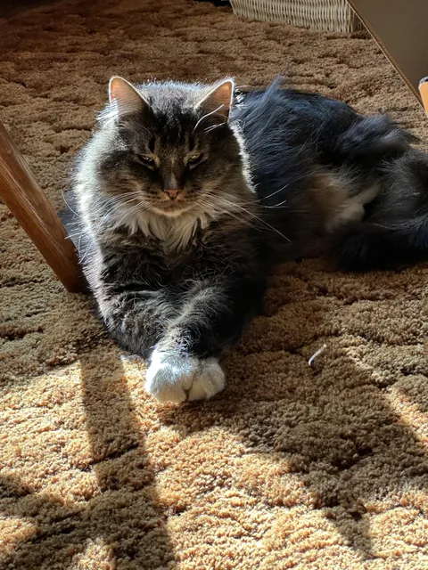 Goodbye for now, Old Man.