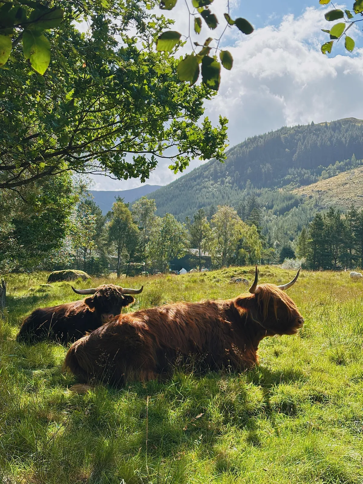 Scotland, Highlands and Isle of Skye, September 2025