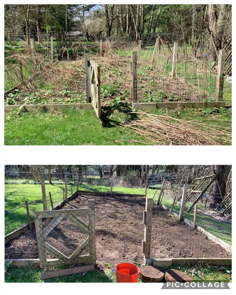 Quarantine boredom led me to clearing out my family’s forgotten garden yesterday