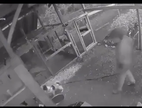 Guy punches bear to protect his dogs