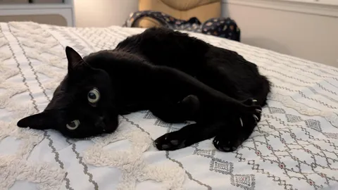 She is so happy I'm home 🖤