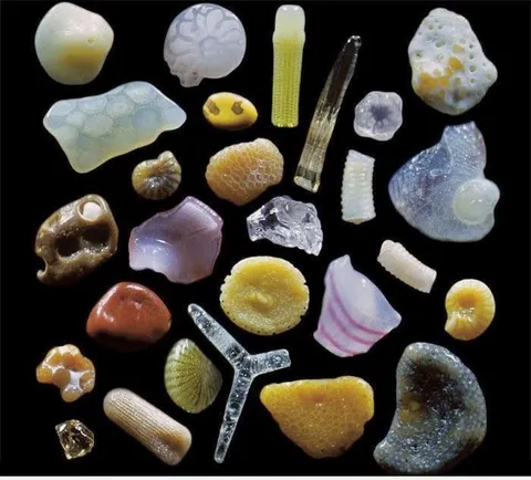🔥 Grains of sand under a microscope