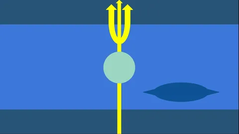 Flags for solar system objects