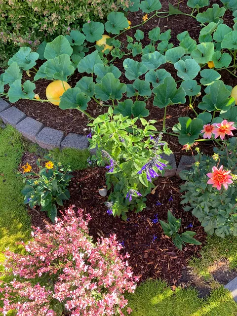 When the Airbnb say there’s a garden side pool and you show up to this