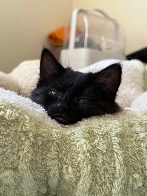 What would you name her?