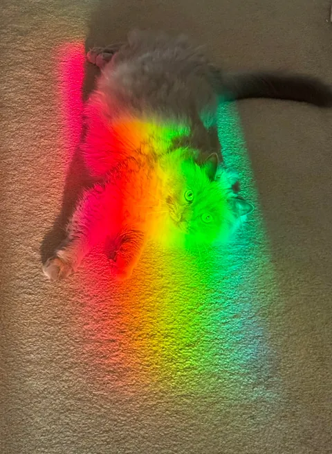 I found what was at the end of a rainbow…I was not disappointed 🥰