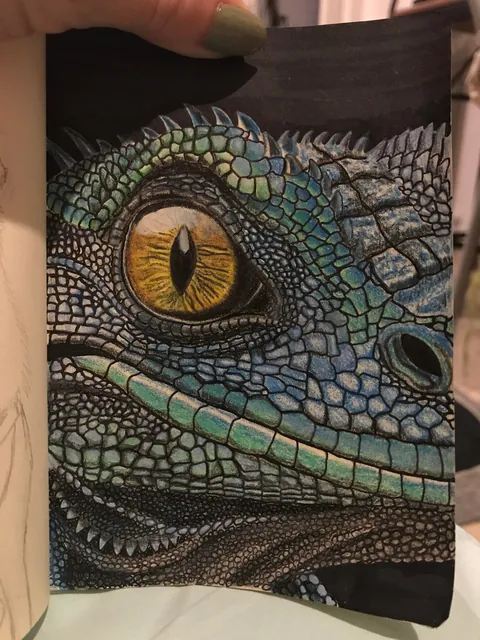 I am an animal artist. Nature inspires me. I hope my art inspires you too