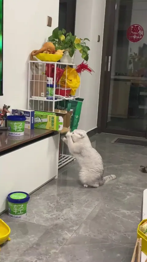 training for an upcoming fight :D