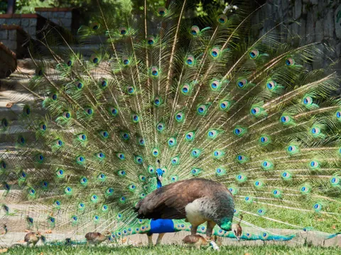 Three weeks in Northern Portugal