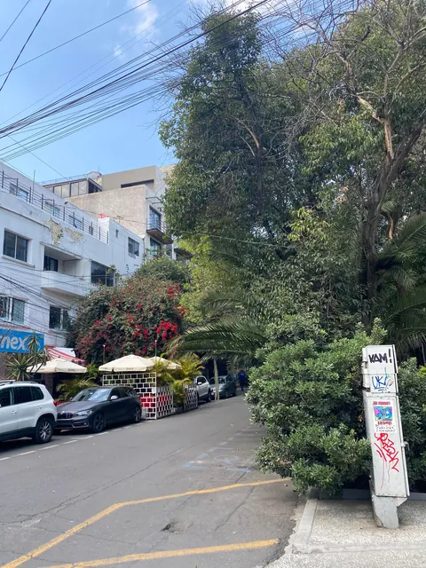 Mexico City had the Lushest, Greenest, Most Beautiful Neighborhoods I've Ever Seen