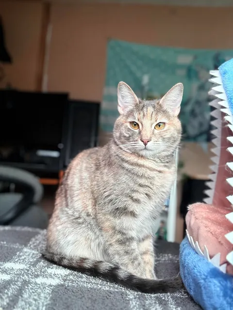 She was so tiny 😭😭😭