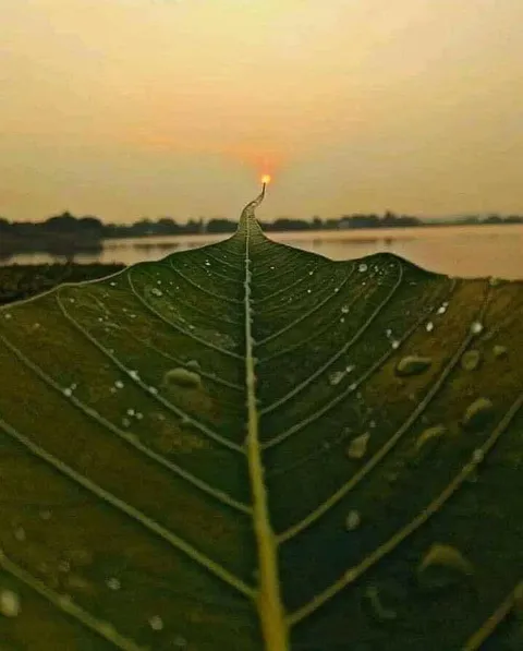 🔥 path to the sun