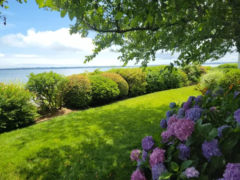 Did you remember to fertilize?