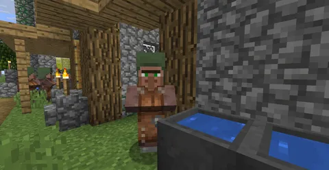 Why do villagers with any profession wear this green hat?