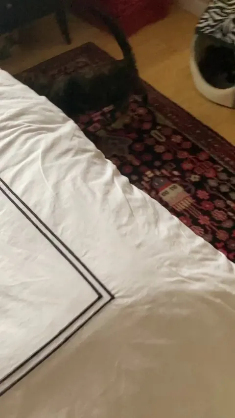 We didn’t know Brownie was pregnant until we found her little gifts 🤧😭