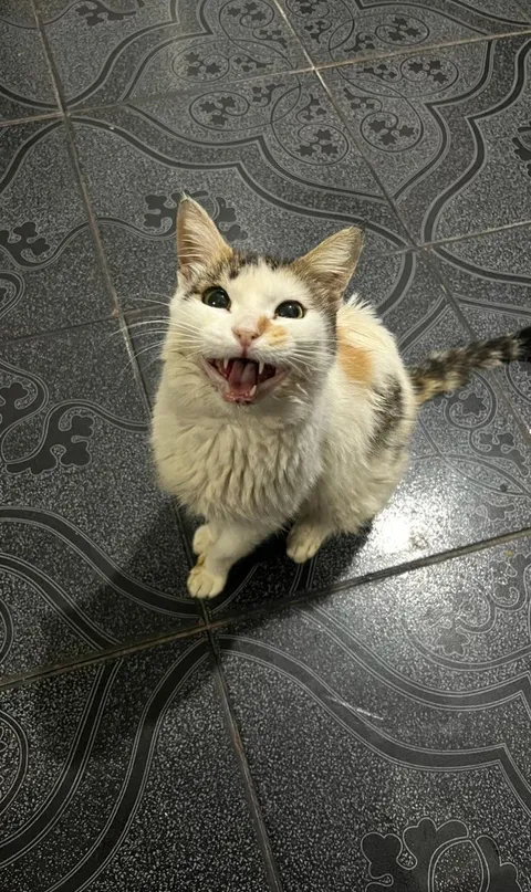 Two months ago we adopted her, she seems happy