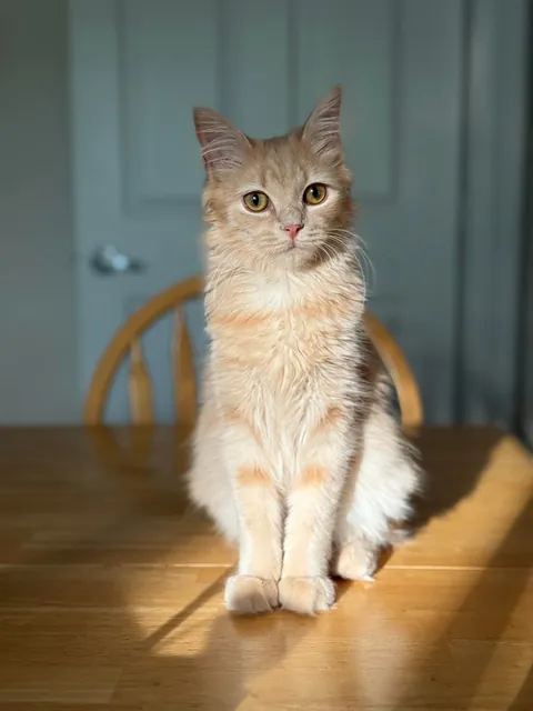 My sweet little lady