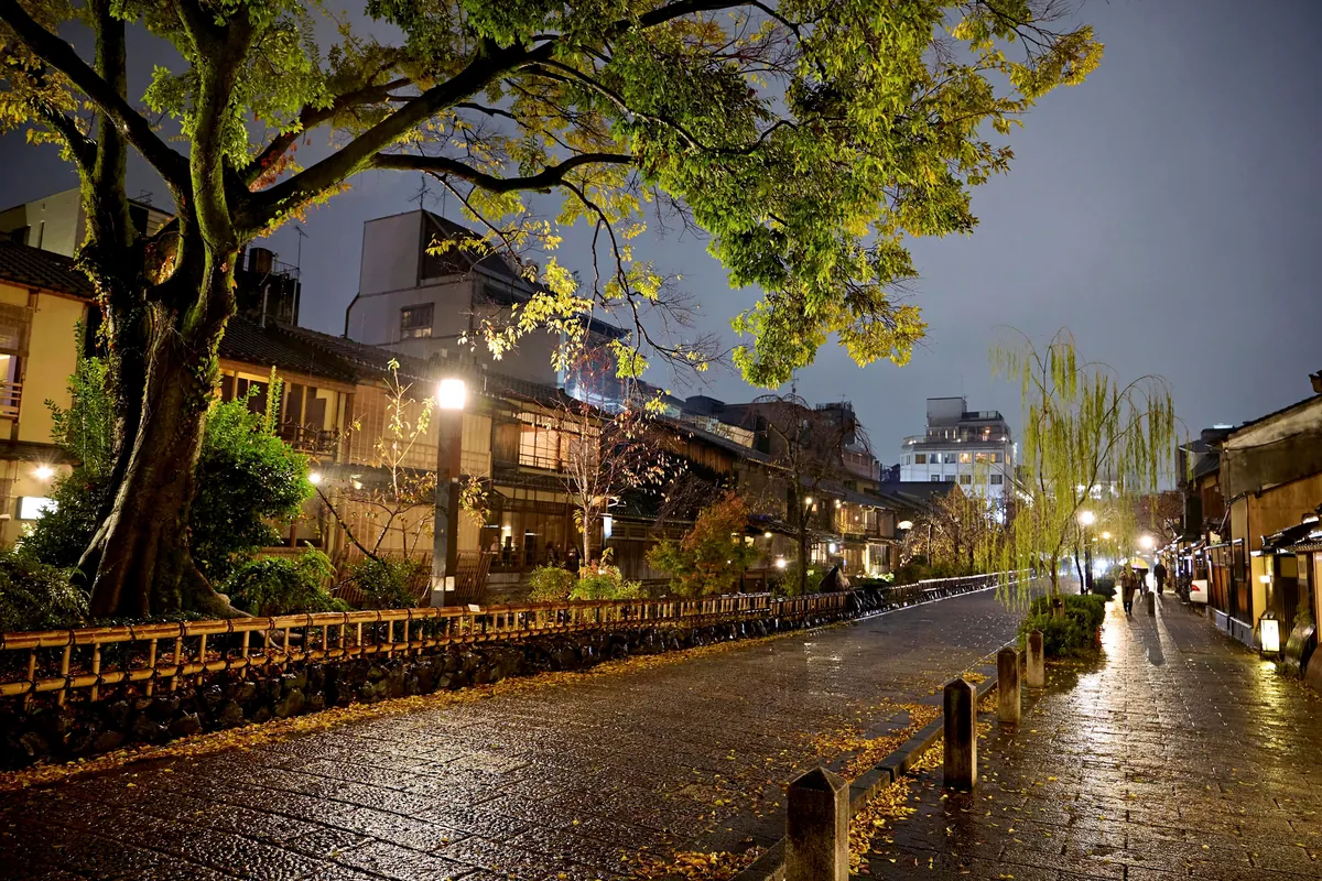 Fall colors in Japan