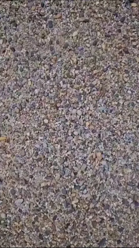 This man is a master of temporary art 🤯