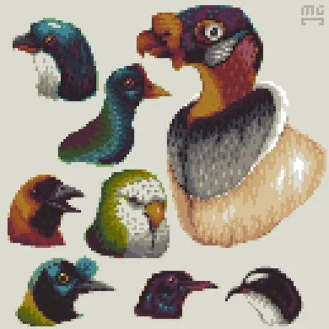 South American birds 