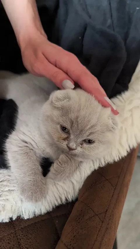 Misty's first day in a new home